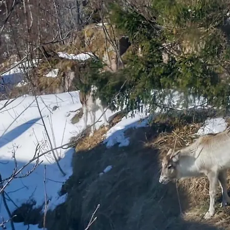 The Perfect Stop - 3rd Floor Appartement