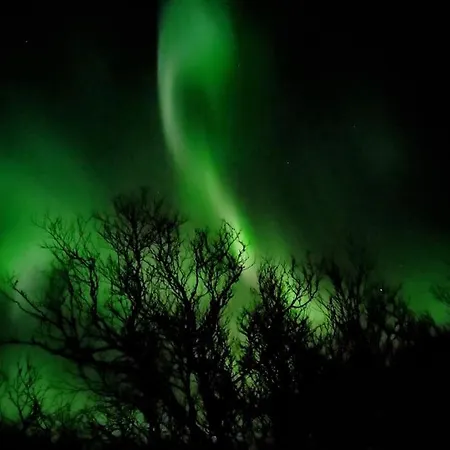 The Perfect Stop - 3rd Floor Daire Lodingen