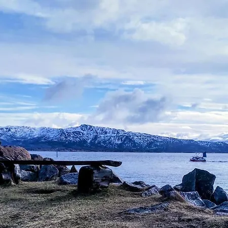 The Perfect Stop - Arctic Collection